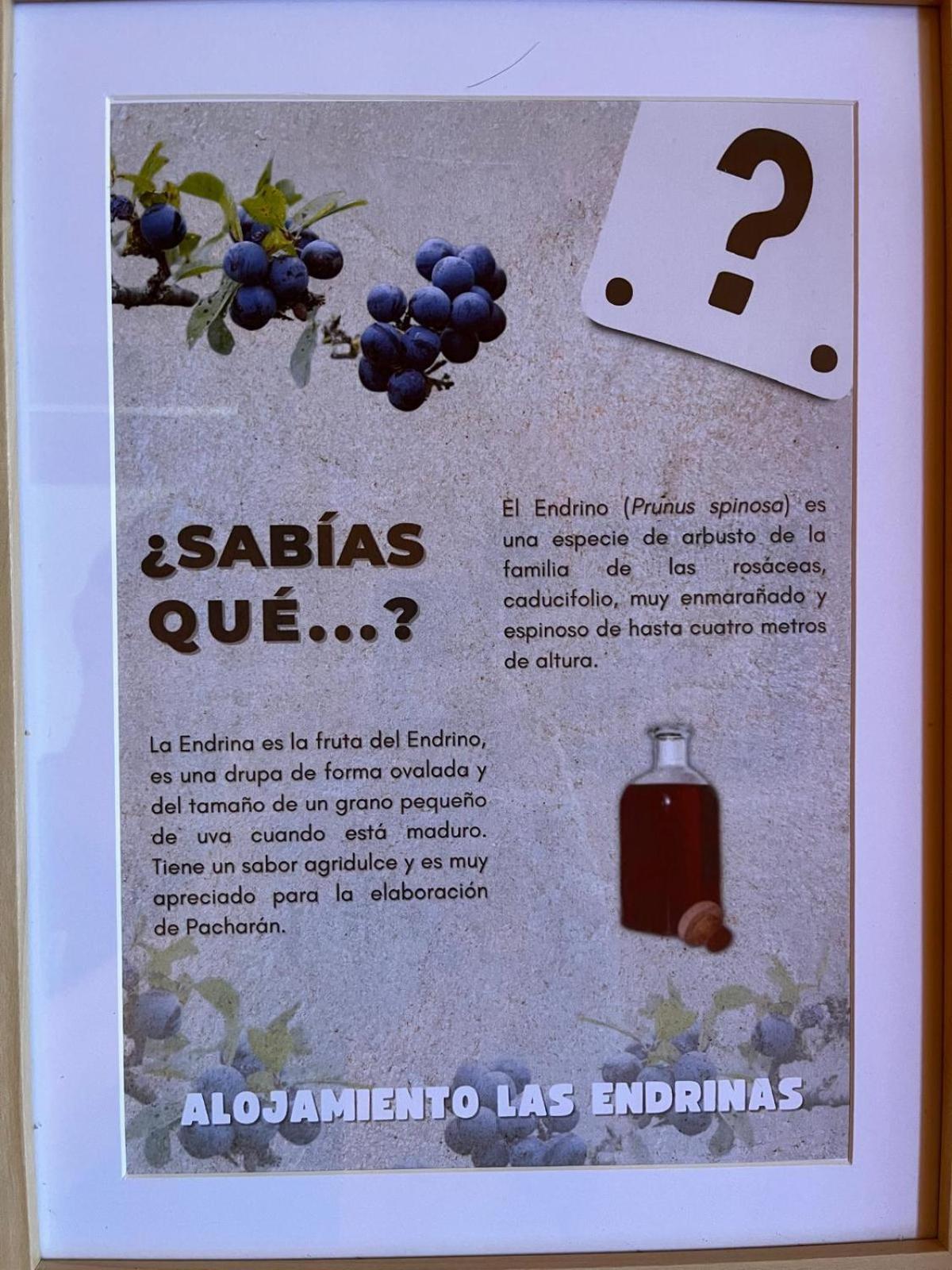Alojamiento Las Endrinas Ezcaray Kültér fotó